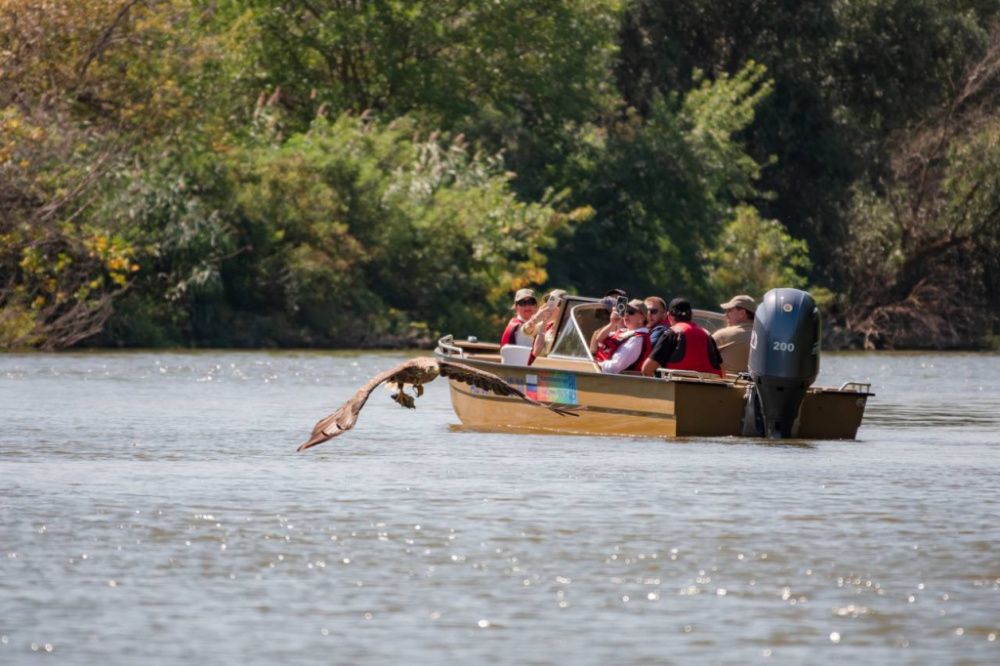 photo_2025-09-02_16-37-59 (2).jpg